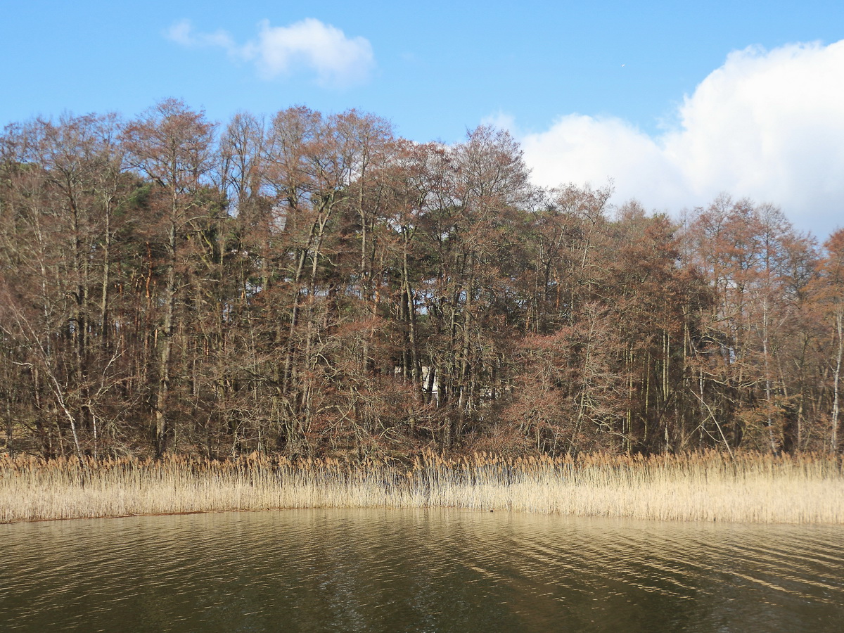 Scharmützelsee am 05. März 2022, hier hinter dem  Uferrand sind auch Häuser zu erkennen.


