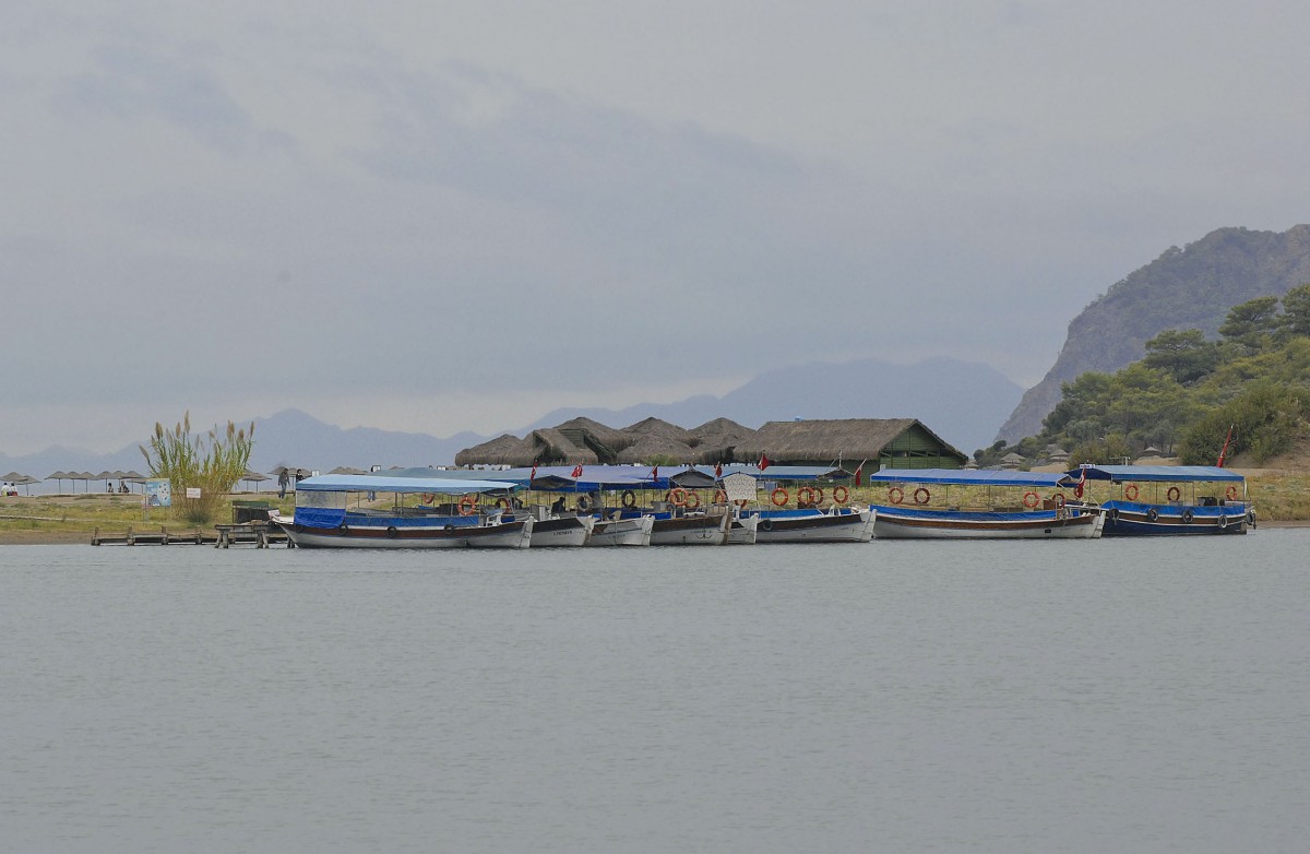 Schilflandschaft im Dalyan-Delta. Aufnahme: Okmtober 2010.