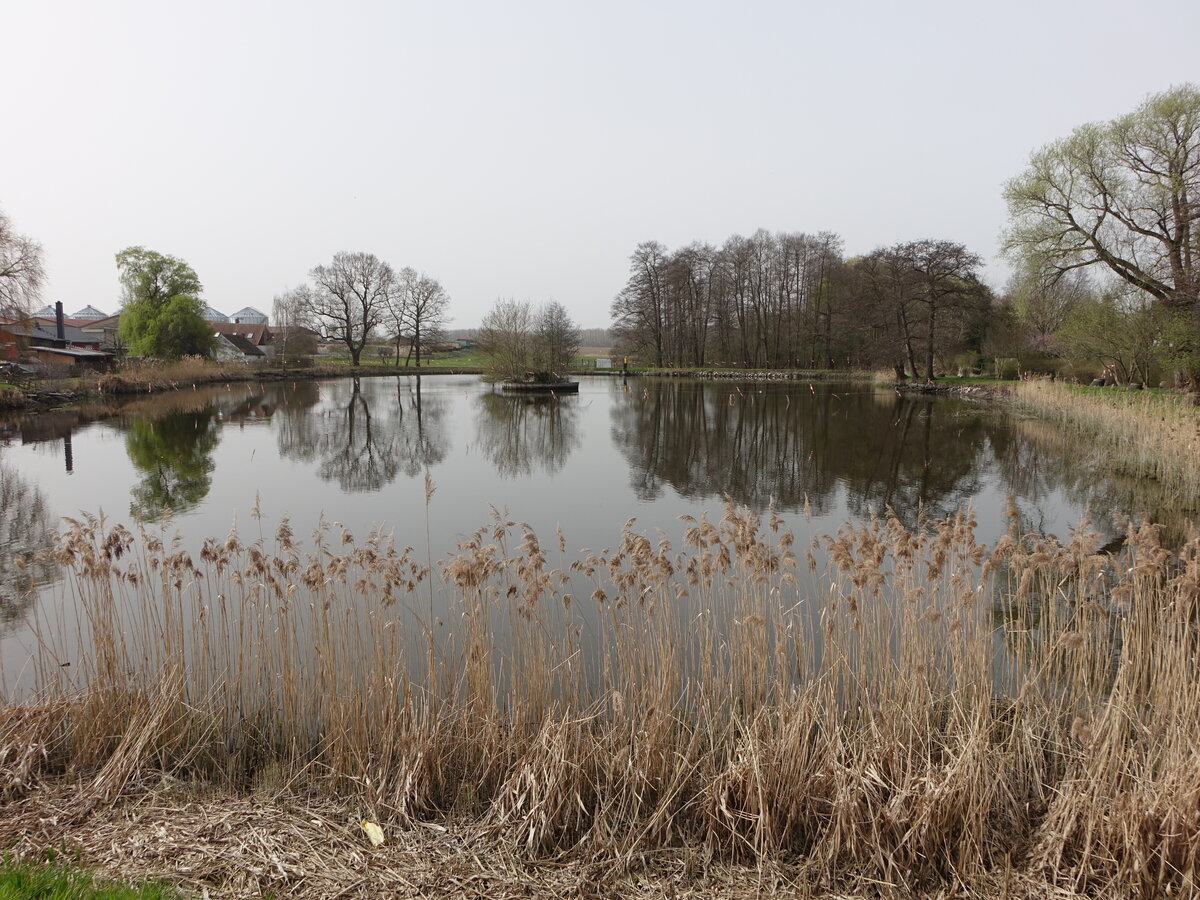 Schlossteich in Steinbach bei Bad Lausick (30.03.2024)