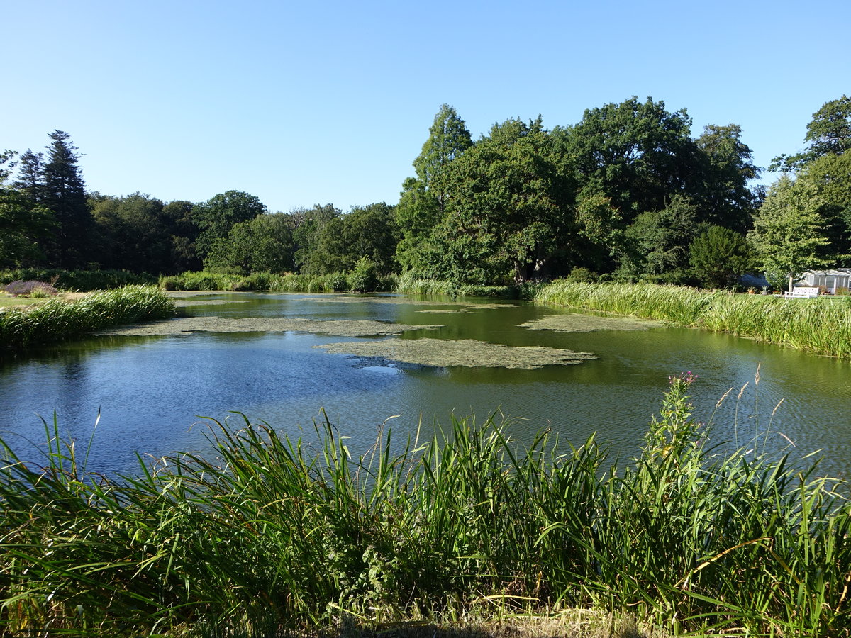 Schloßweiher bei Horsens-Boller, Süddänemark (23.07.2019)