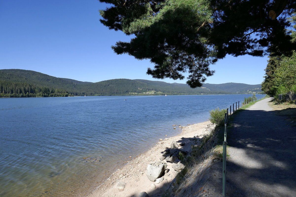 Schluchsee, größtes und höchstgelegenes Gewässer im Schwarzwald, hier der Wanderweg am Ostufer, Juli 2020