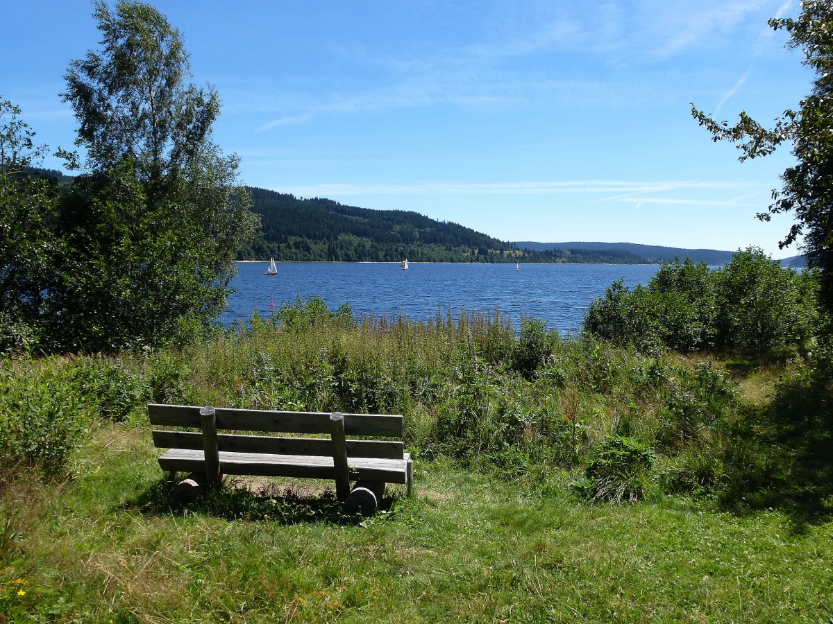 Schluchsee/Schwarzwald, Blick ber den See Richtung Sdost, Juli 2014