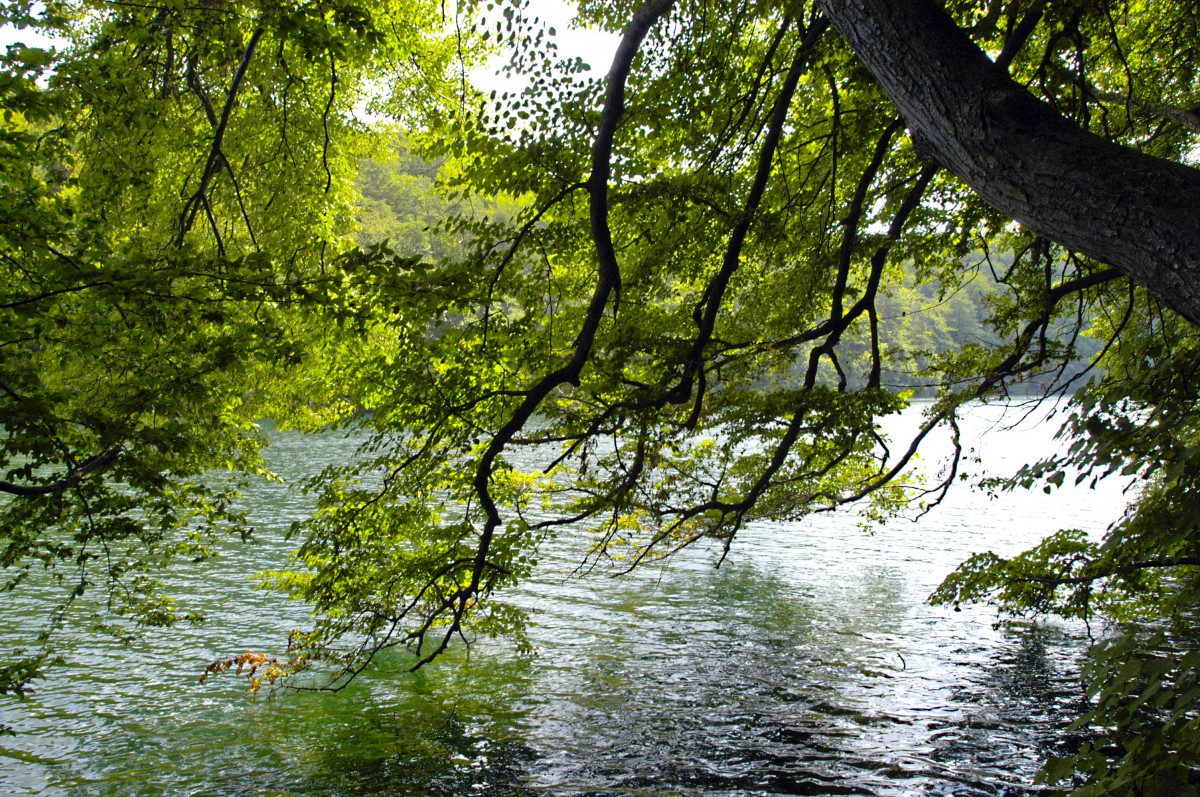 Schmaler Luzin in der Feldberger Seenlandschaft. Der schmale Luzon ist ein schmaler, flussähnlicher Rinnensee, der an der engsten Stelle nur etwa 50 Meter breit ist. Die Längenausdehnung beträgt etwa sechs Kilometer. Aufnahme: Juli 2006.