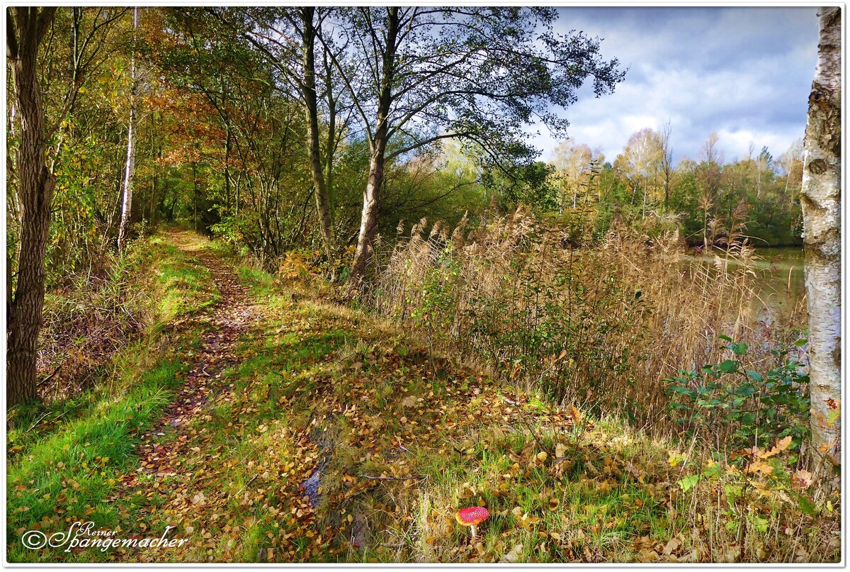 Schmaler Pfad an den Nuddelhof-Teichen in Fintel. Der Herbst sorgt für bunte Farben. Anfang November 2022.