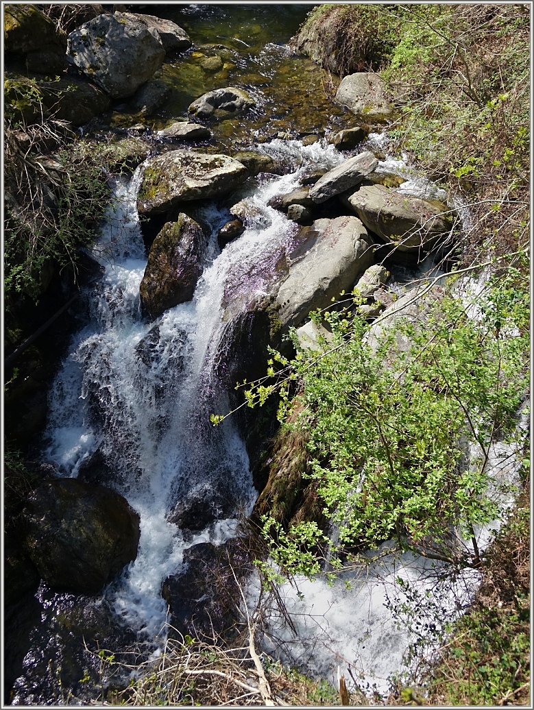 Schmelzwasser fliesst den Bach hinunter ins Tal
(14.04.2014)