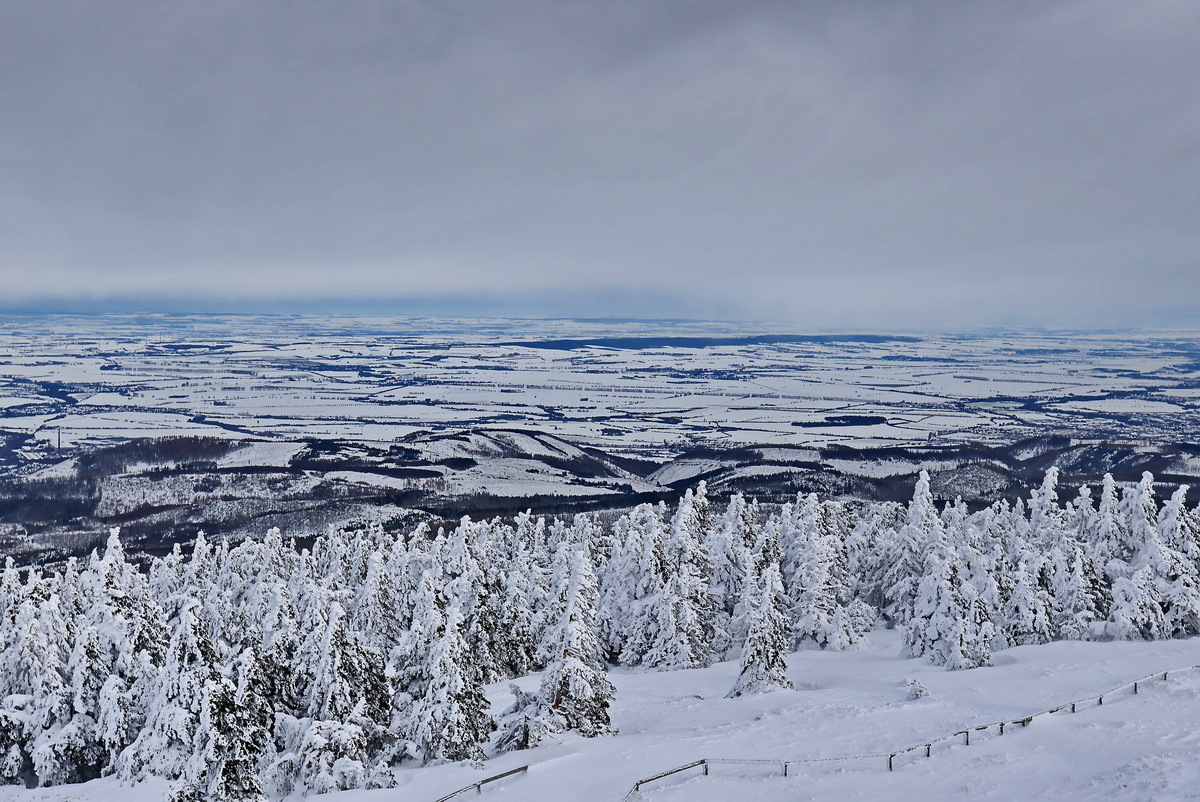 Schneelandschaft auf den Brocken am 04. Dezember 2023.