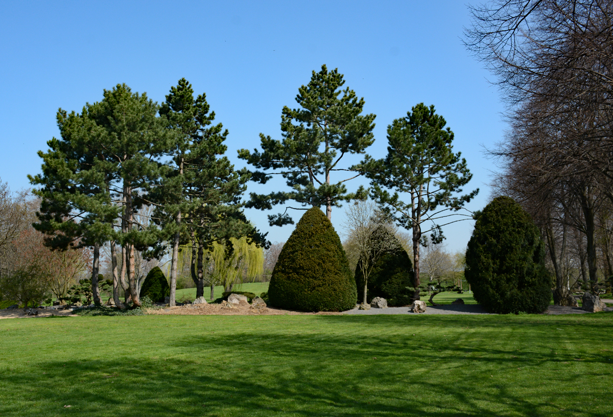 Schöne Baumbepflanzung in der Erftaue Euskirchen - 11.04.2016