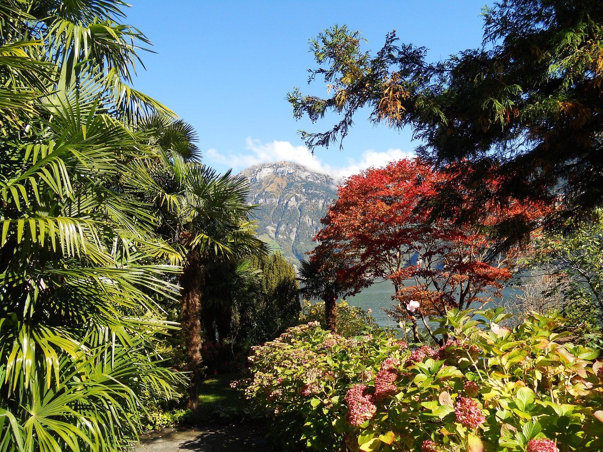 Schöne Gartenanlage mitten in Bauen am Urnersee. Der Urnersee ist ein Teil des Vierwaldstättersee - 04.10.2015 