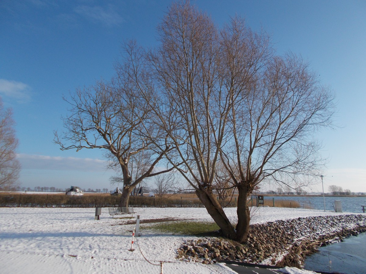 Schöner Wintertag in Puddemin am 01.Februar 2015.