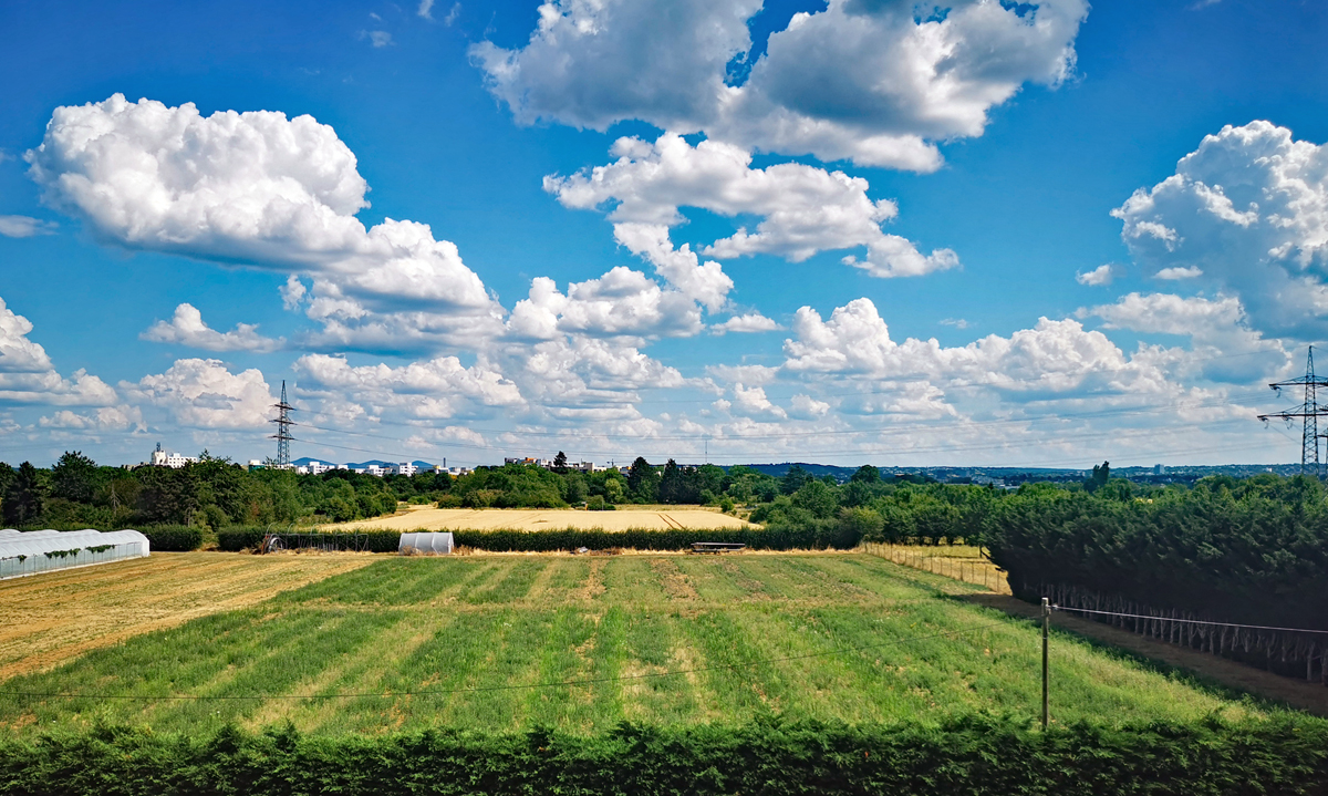 Sch�nwetterwolken und 30 Grad + bei Bonn.