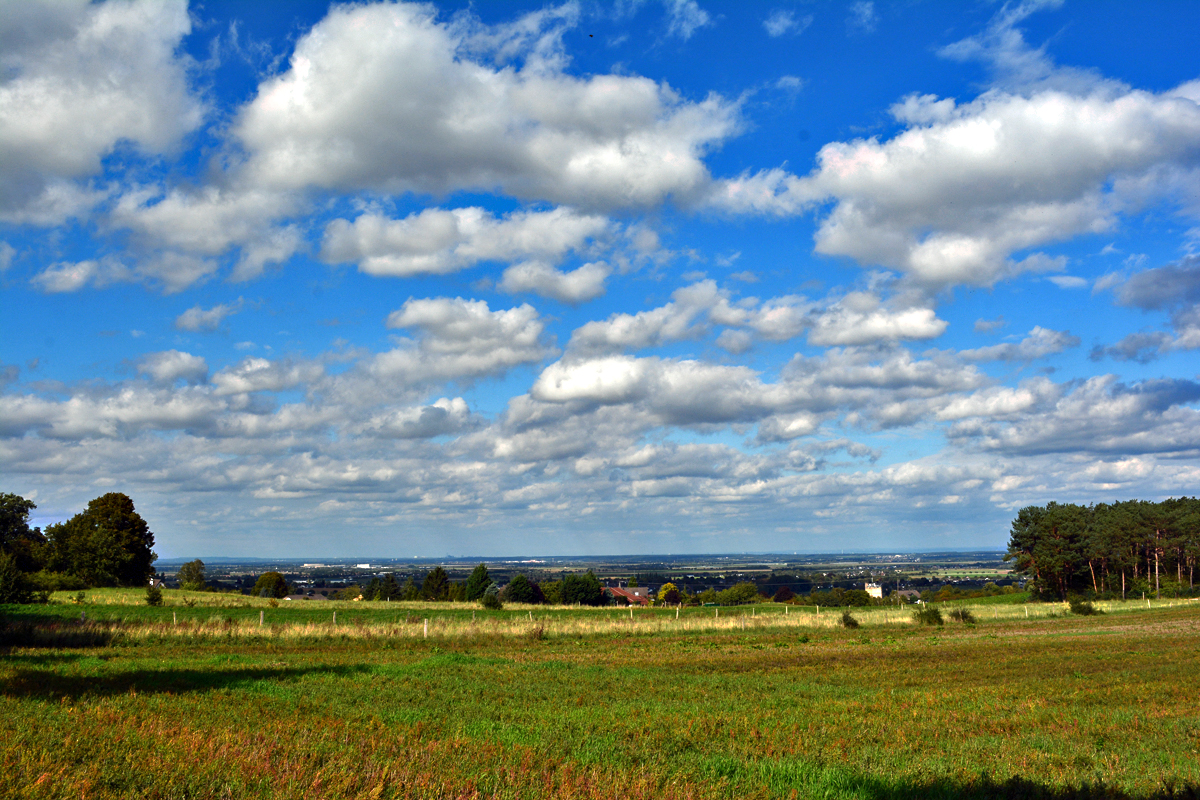 Schönwetterwolken über der Kölner Bucht, gesehen von den ersten leichten Erhebungen der Eifel - 24.09.2015