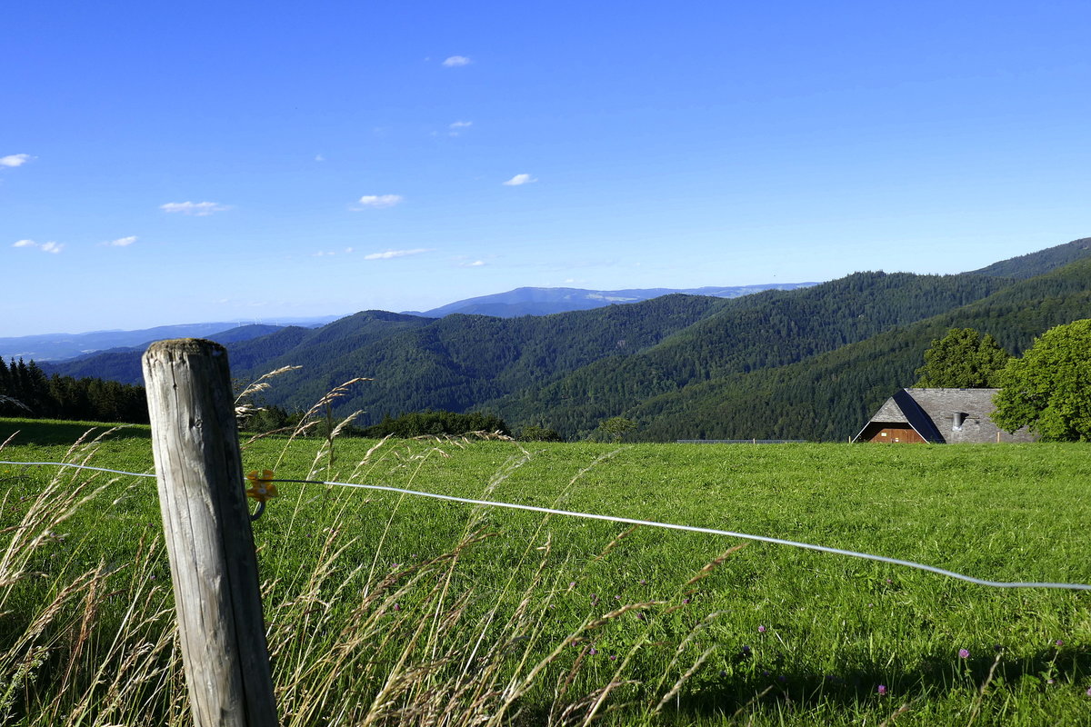 Schwarzwald, am Geiersnest/St.Ulrich, am Horizont der 1242m hohe Kandel, Juli 2020