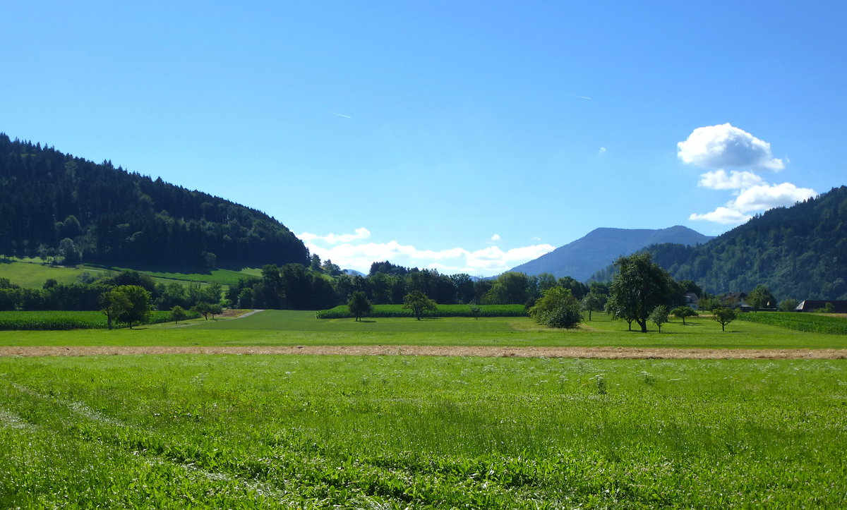 Schwarzwald, Blick vom Elztal in das Simonswldertal, Juli 2017