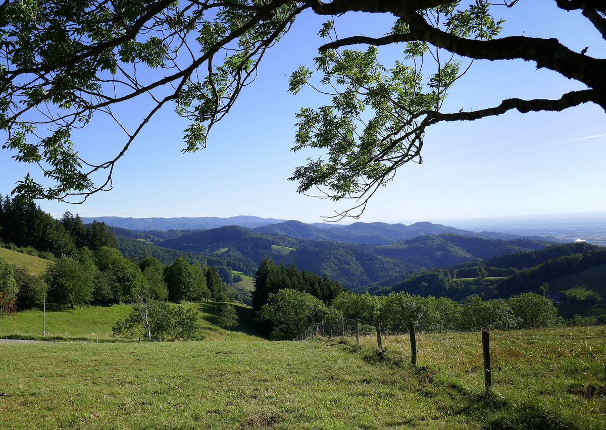 Schwarzwald, Blick vom Geiersnest/St.Ulrich Richtung Süden, Juli 2020