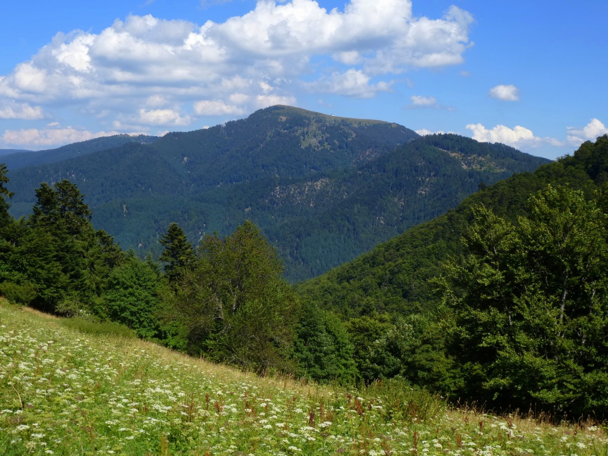 Schwarzwald, Blick von der Klbelescheuer(900m) zum Belchen(1414m), Aug.2013