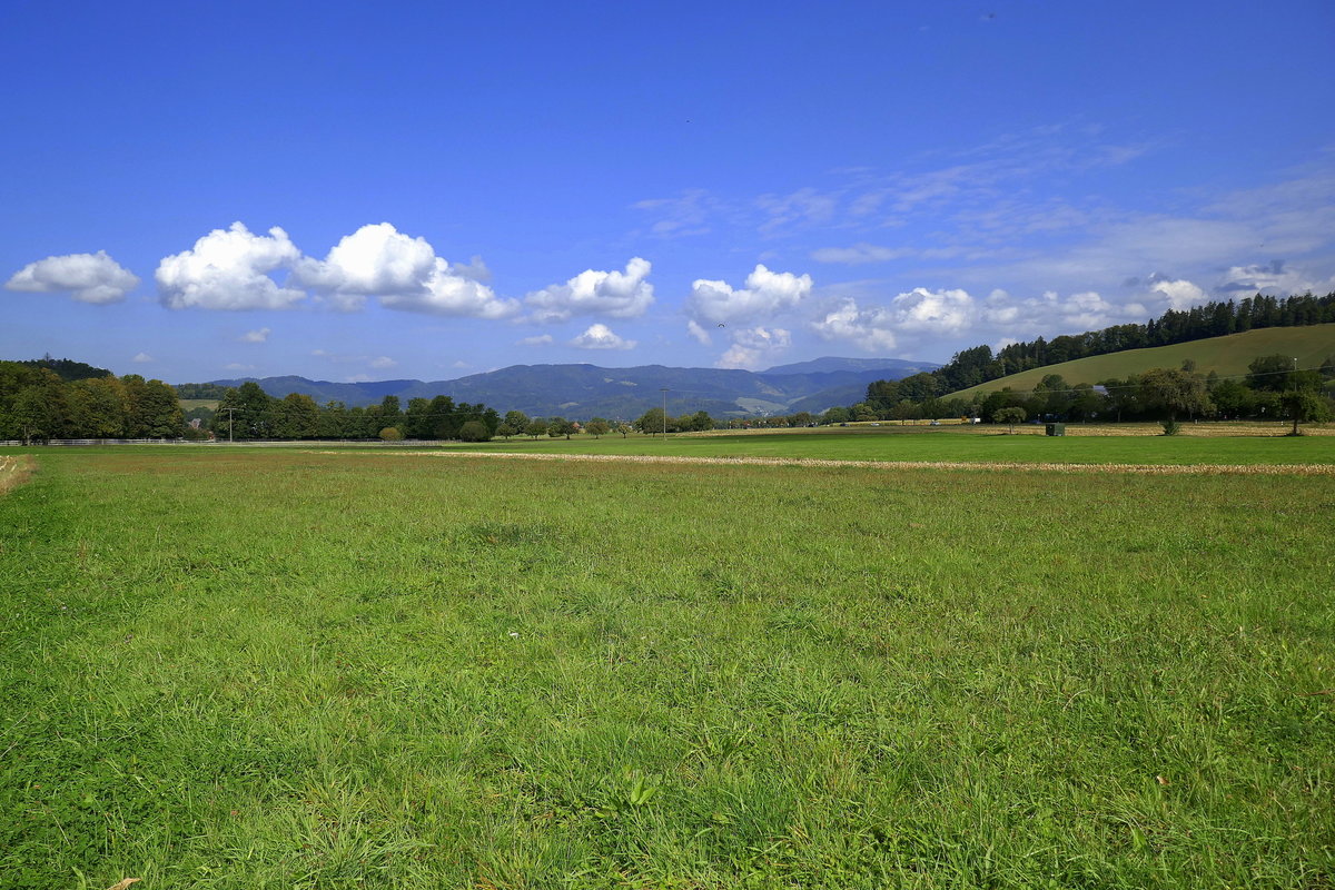 Schwarzwald, Blick von Oberried ins südliche Dreisamtal Richtung Kirchzarten, Sept.2020