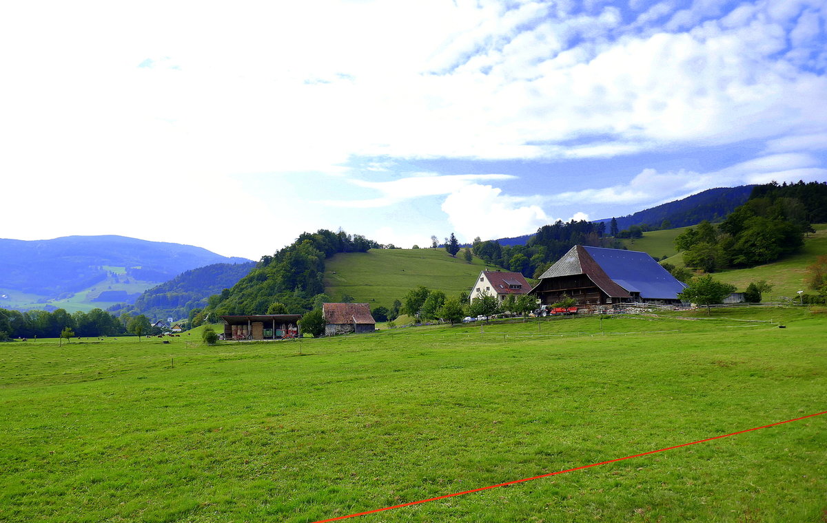 Schwarzwald, Dietenbach im Dreisamtal, Blick zum Jungbauernhof, Sept.2020