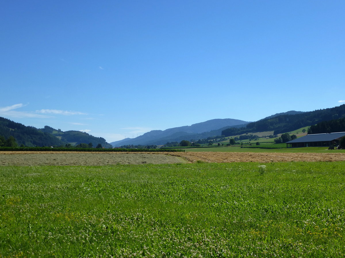 Schwarzwald, Landschaft im Elztal bei Bleibach, talaufwärts gesehen, Juli 2017