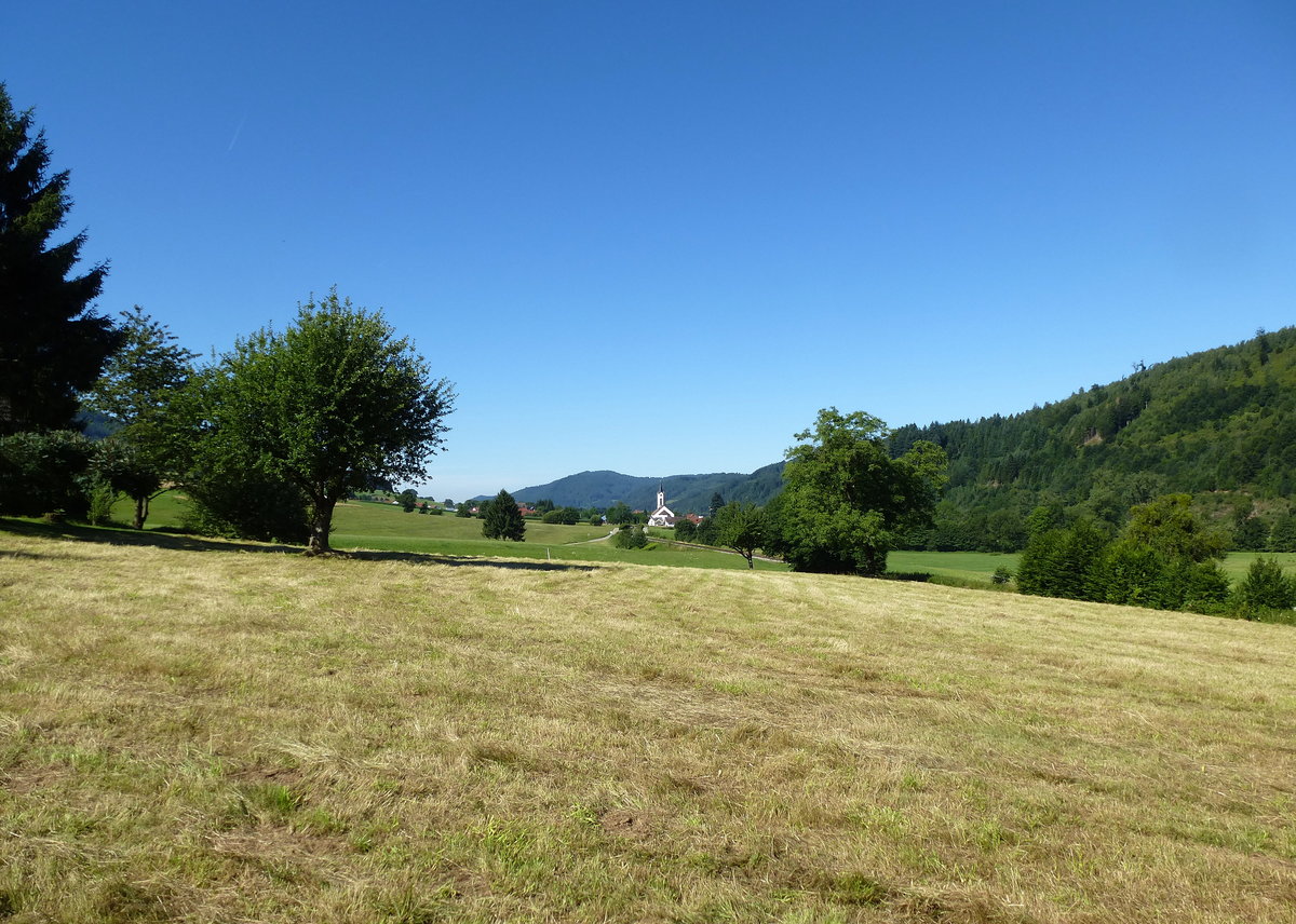 Schwarzwald, Landschaft im Elztal bei Oberwinden, Juli 2017