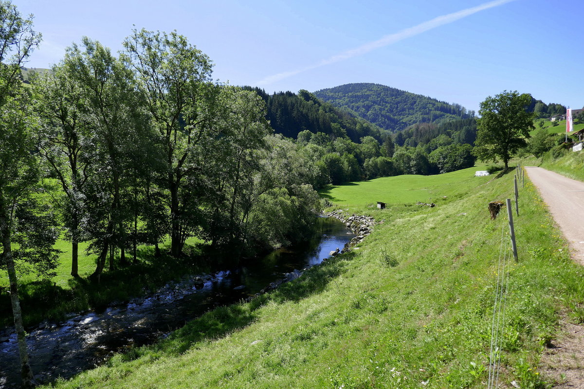 Schwarzwald, Landschaft im Wiesental bei Schönau, Juli 2020