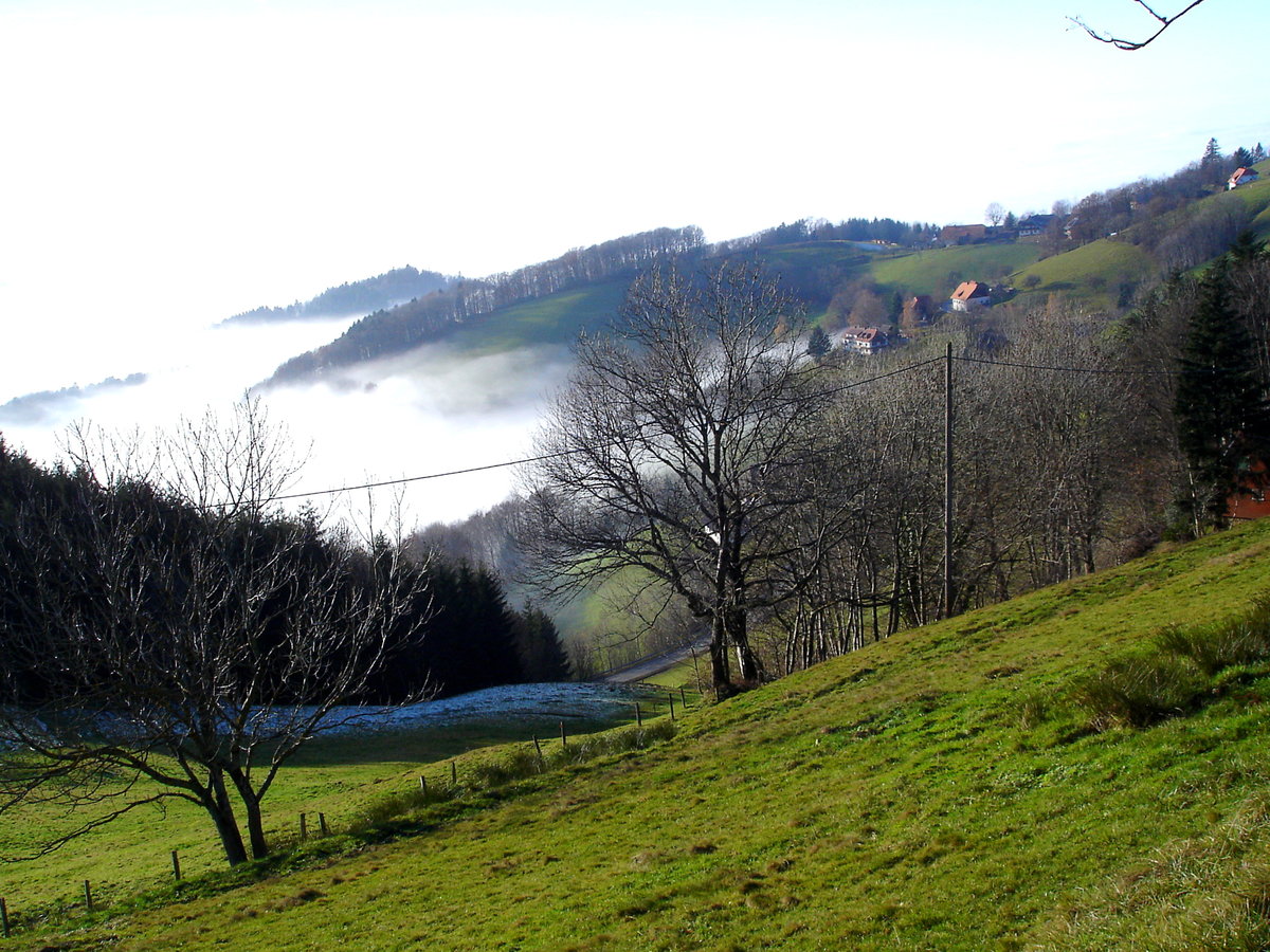 Schwarzwald, St.Ulrich-Geiersnest, Inversionswetterlage Herbst-Winter, Dez.2004