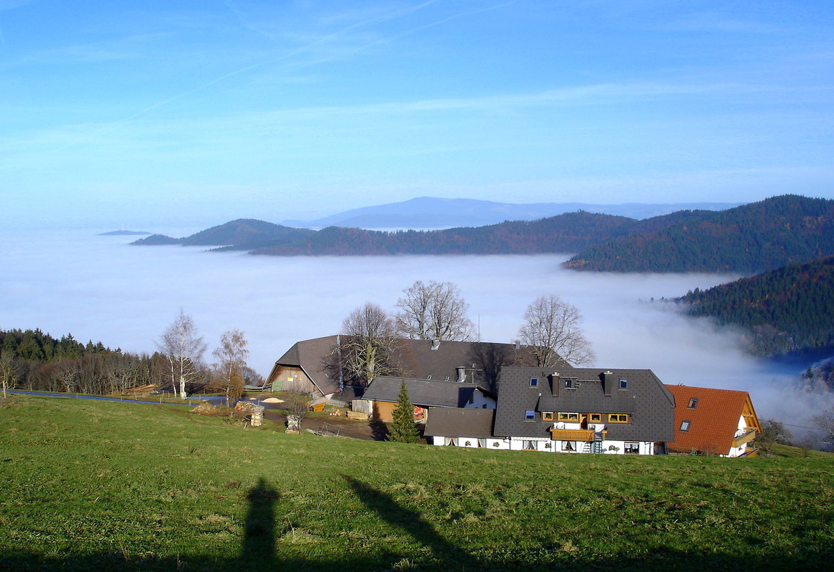 Schwarzwald, St.Ulrich-Geiersnest, Inversionswetterlage Herbst-Winter, Nov.2010