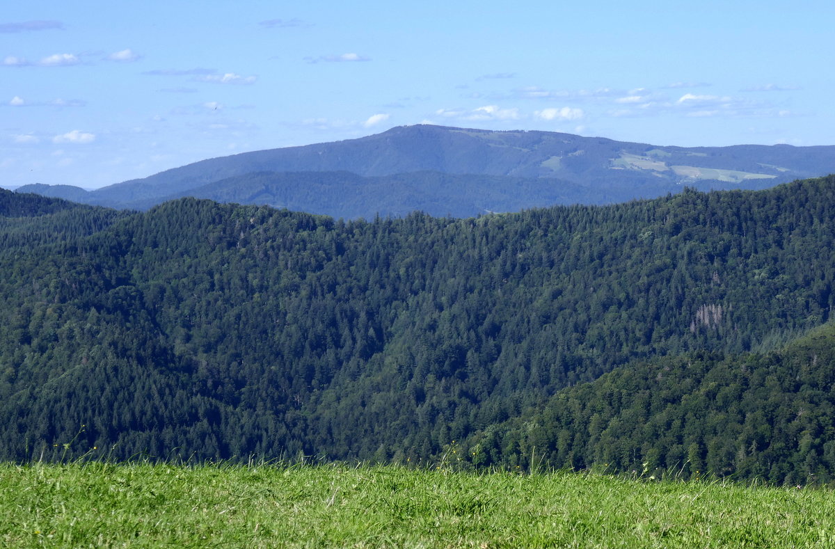 Schwarzwald, Teleblick vom Geiersnest/St.Ulrich zum 1242m hohen Kandel, Juli 2020