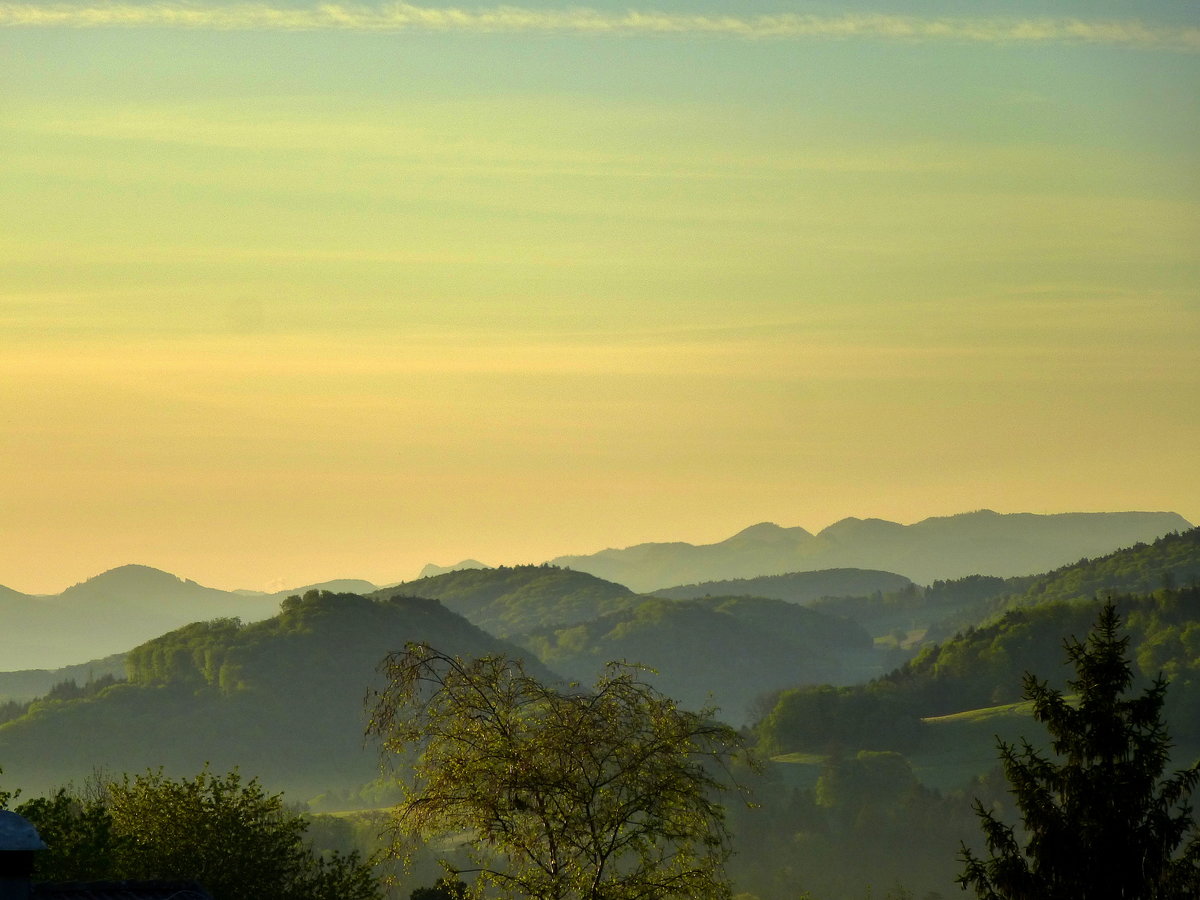 Schweizer Jura im Kanton Solothurn im ersten fahlen Morgenlicht, Mai 2017