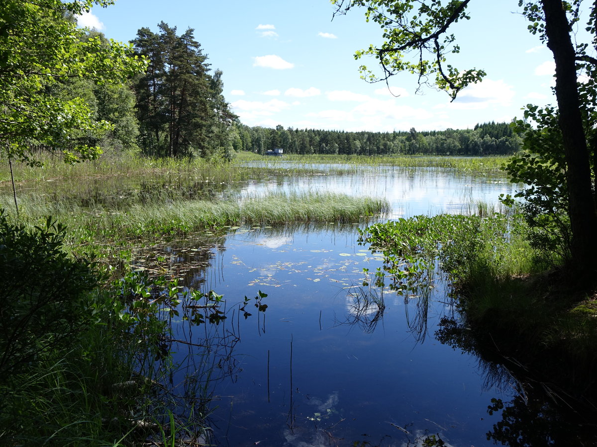 See an der N127 bei Värnamo (12.06.2016)