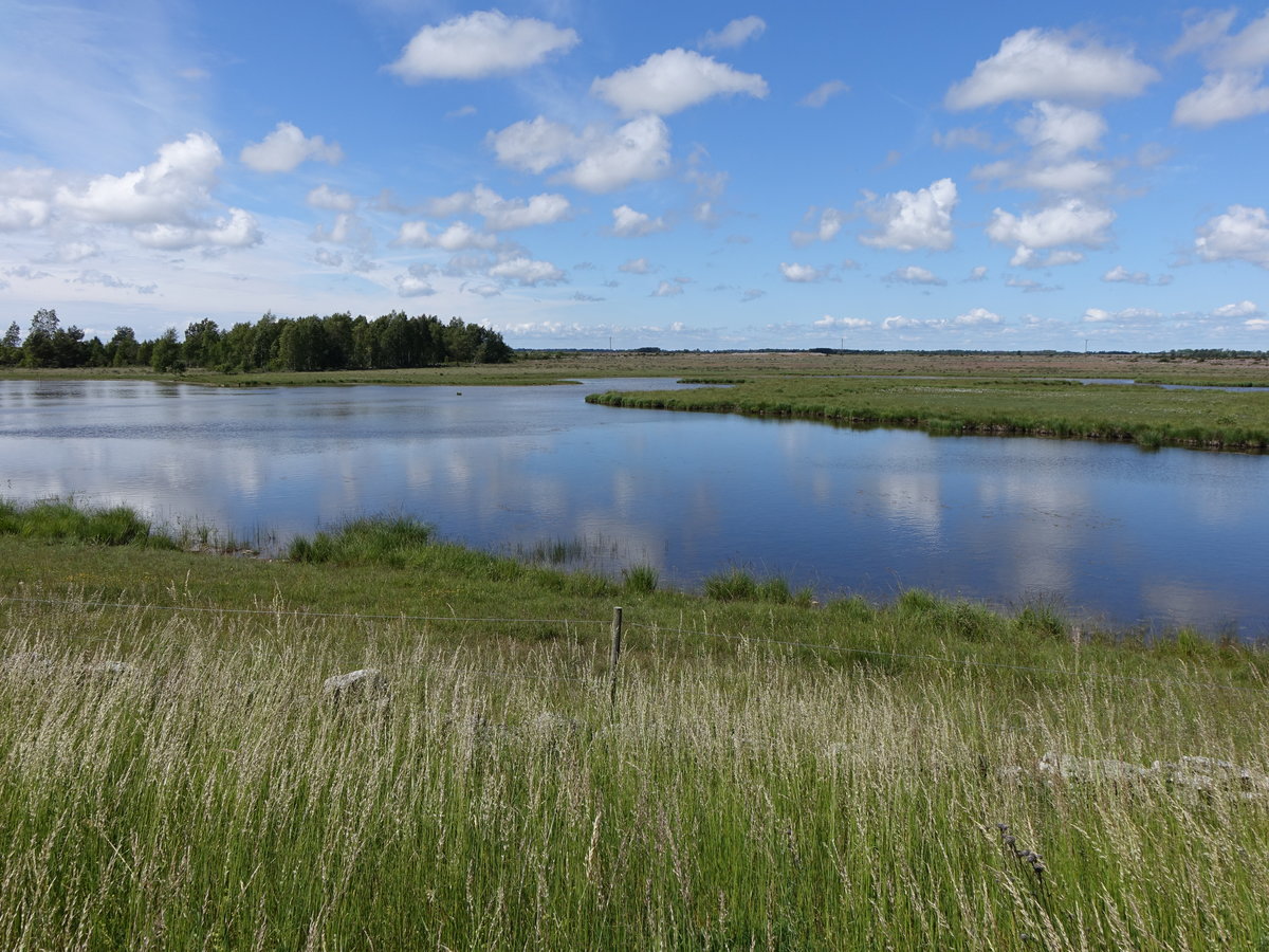 See bei Alby auf der Insel Öland (13.06.2016)