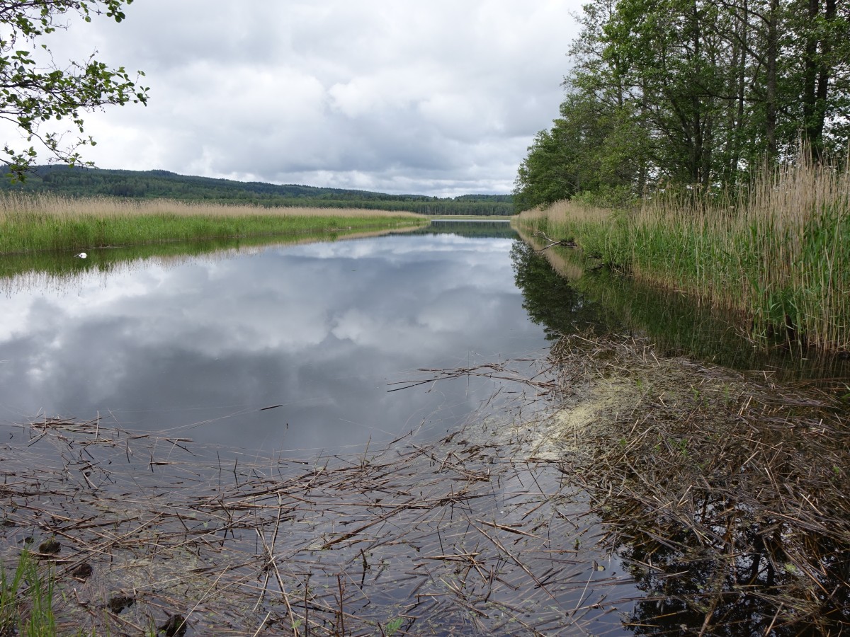 See bei Borgvik, Värmland (18.06.2015)