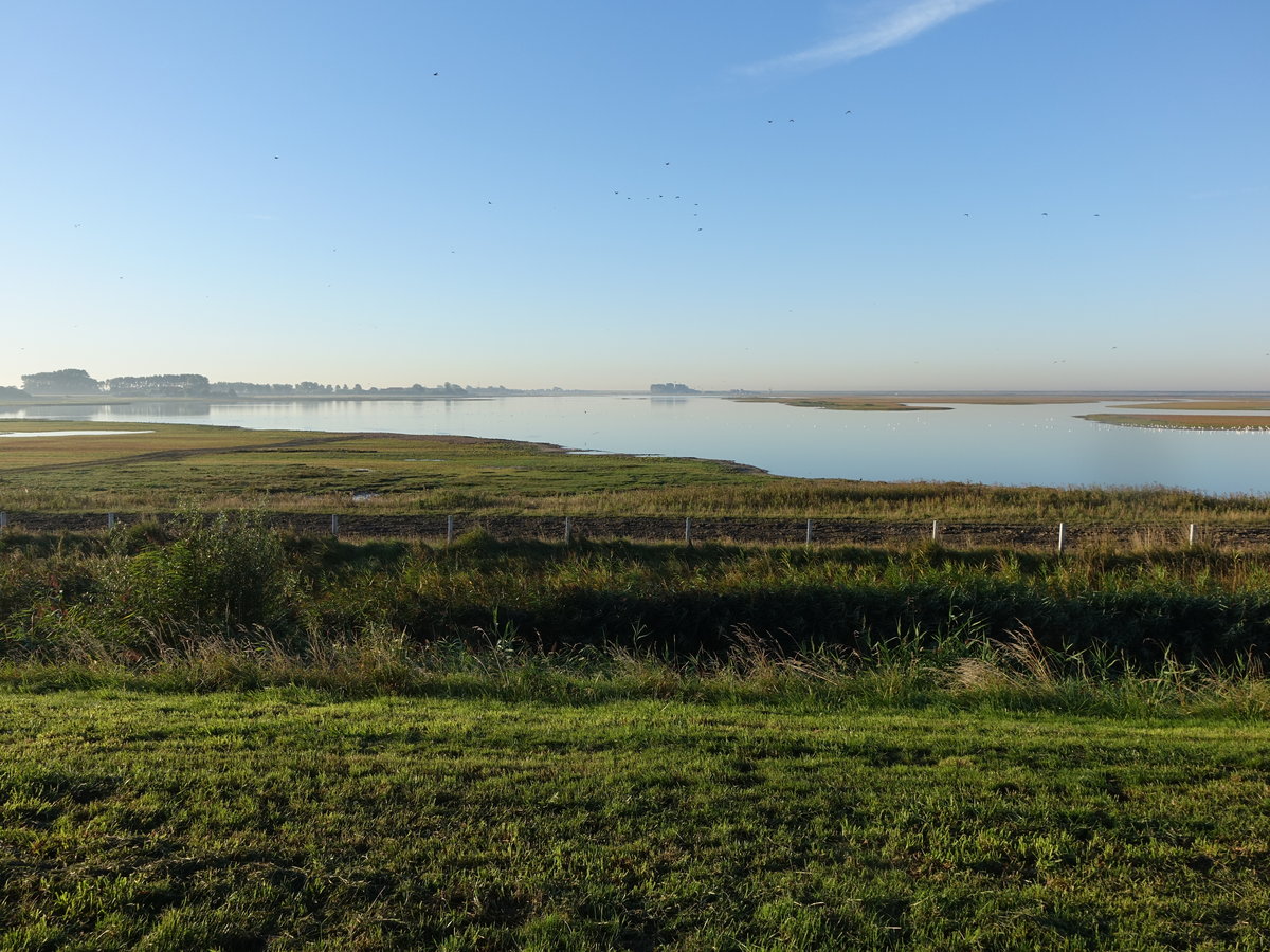 See bei Brouwershaven am Grevelingenmeer (25.08.2016)