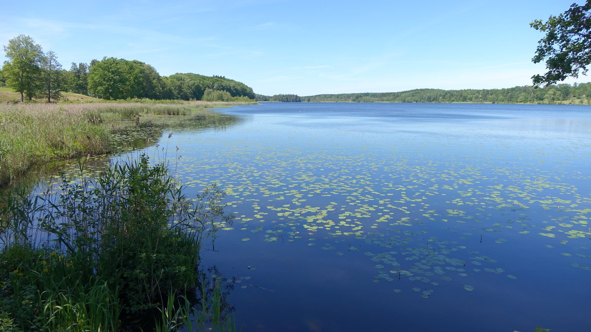 See bei Ericsberg, Södermanland (14.06.2016)