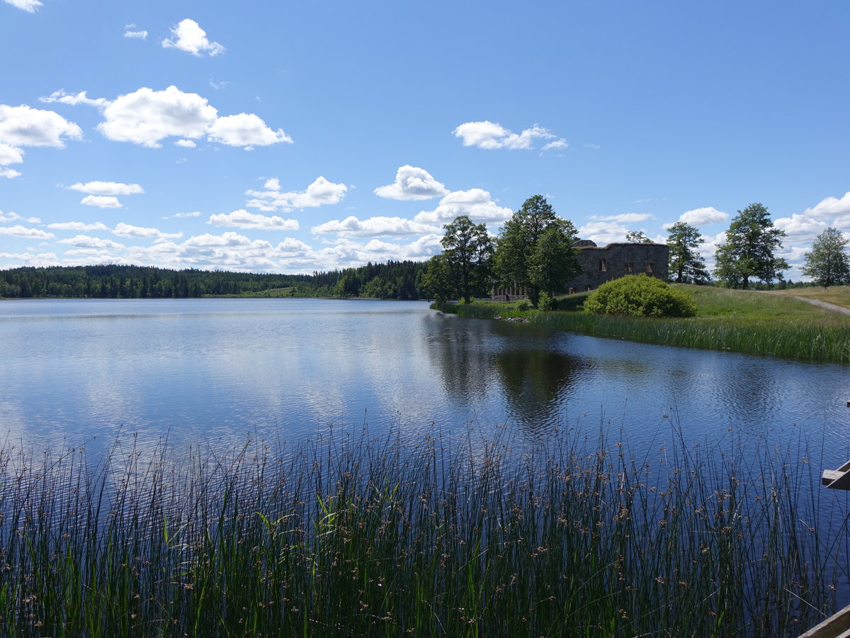 See bei Sävsjö mit Schlossruine (12.06.2016)
