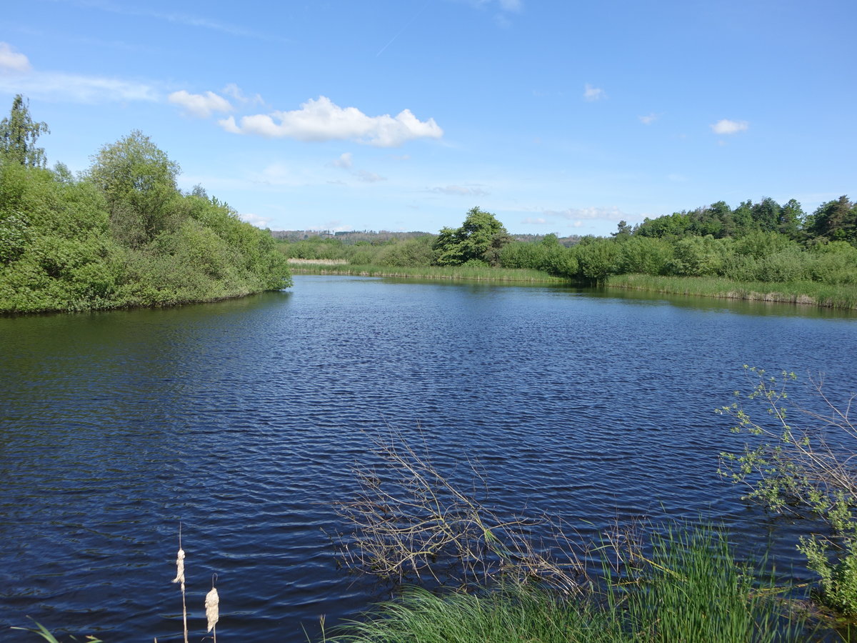 See bei Trebic im Böhmisch-Mährischen Hochland (30.05.2019)