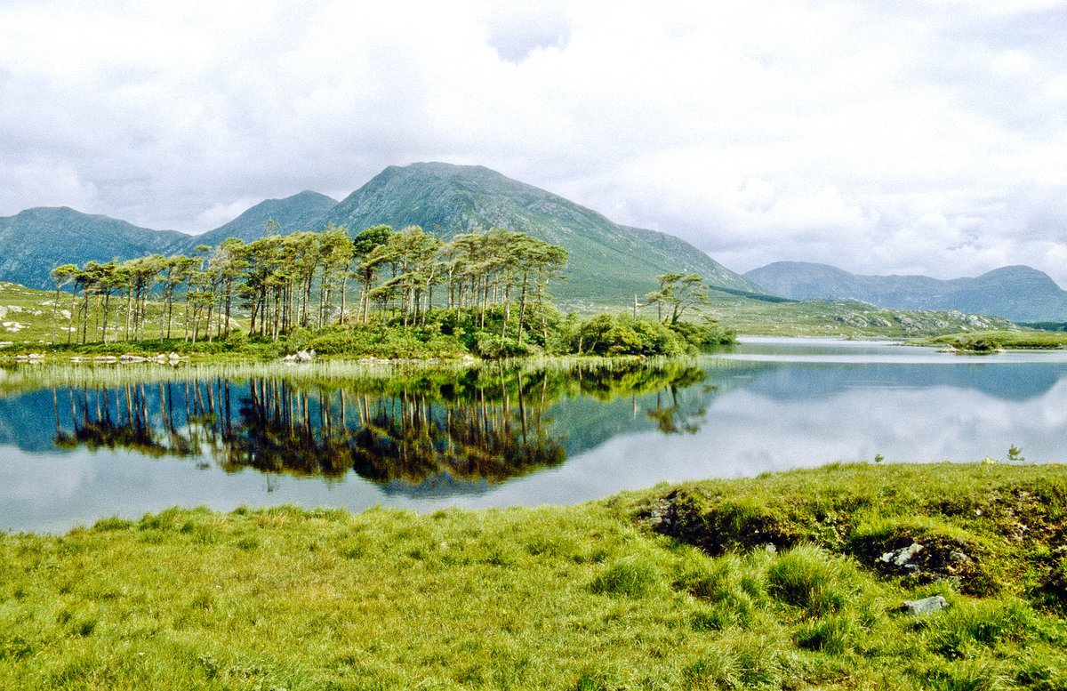 See in Connemara südlich von Clifden. Bild vom Dia. Aufnahme: Juli 1991.