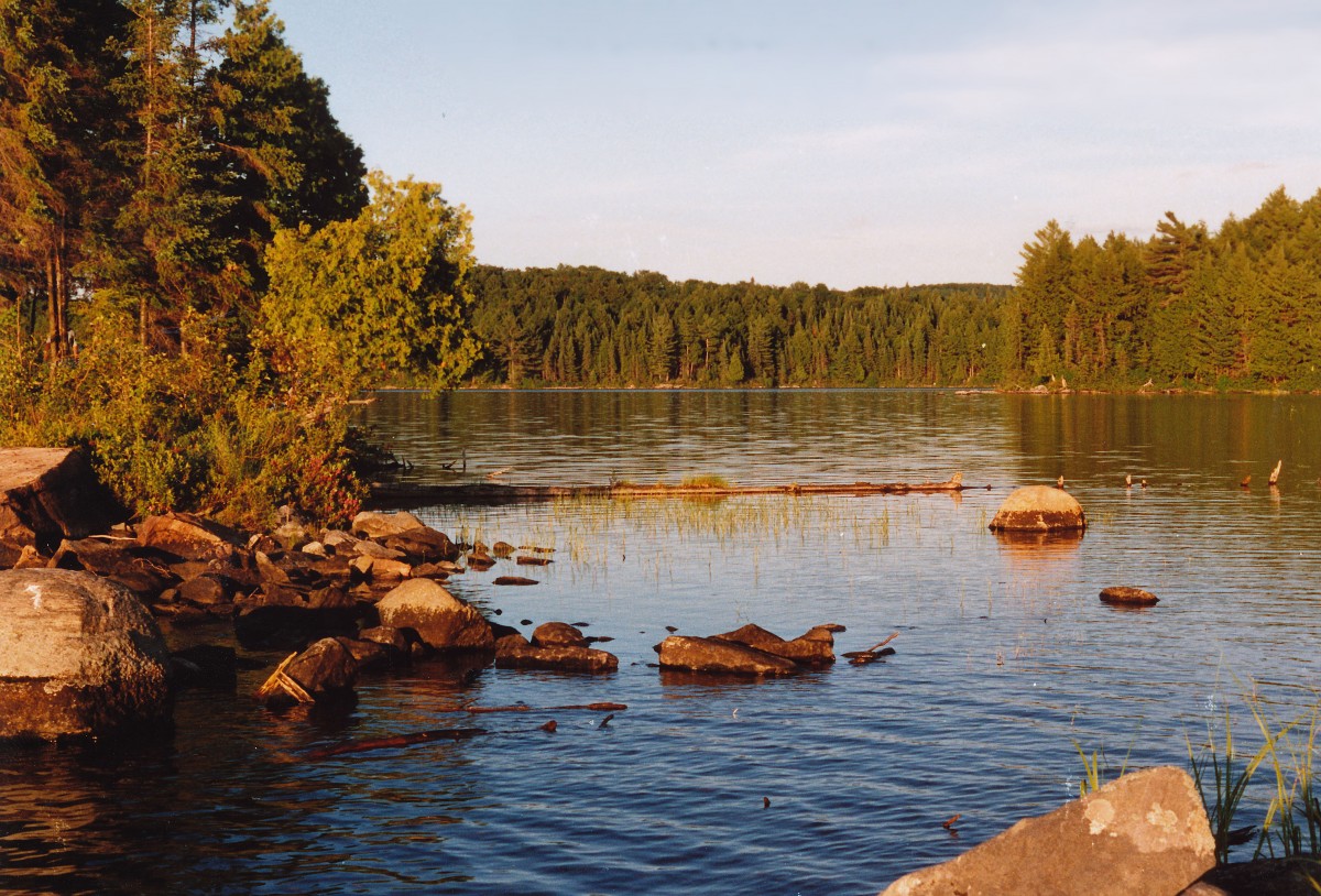 See und Nadelbaumwald im Algonquin National Park im kanadischen Ontario. Aufnahme: Juni 1987 (digitalisiertes Negativfoto).