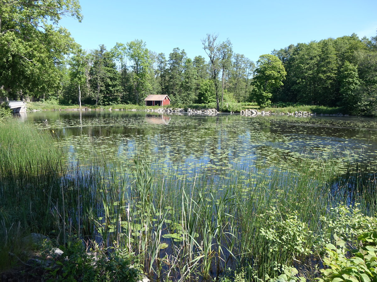 See im Schloßpark Ericsberg, Södermanland (14.06.2016)