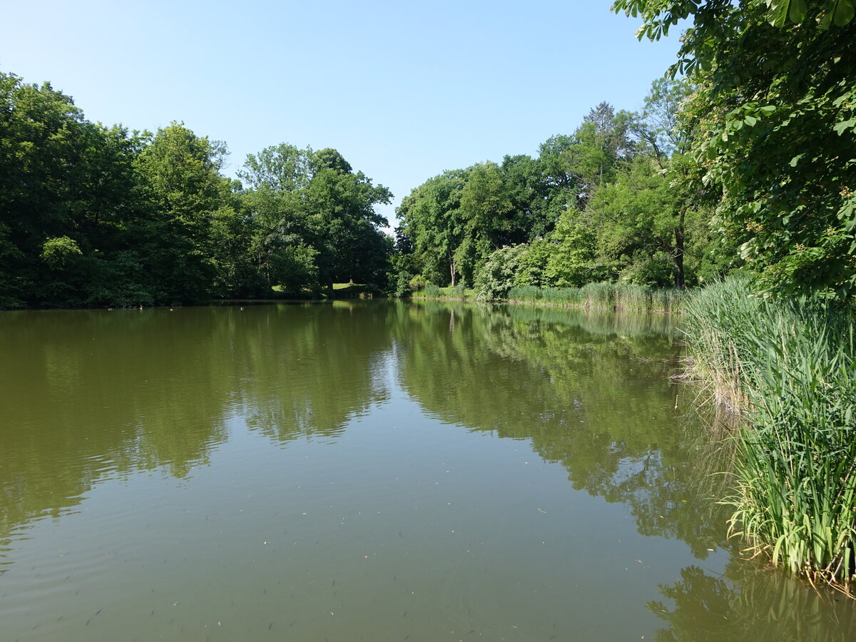 See im Schloßpark von Schloss Krasiczyn im Karpatenvorland (17.06.2021)