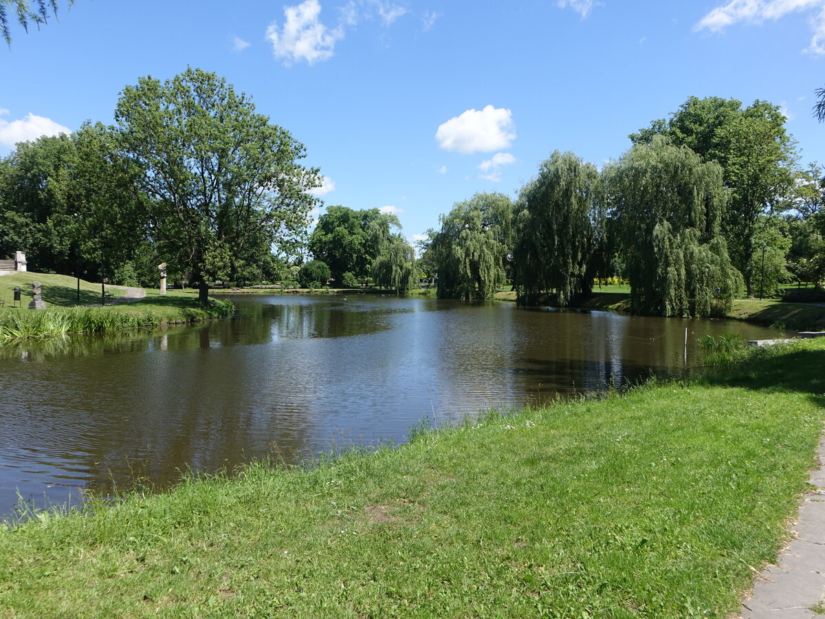 See im Schloßpark von Szydlowiec, Masowien (14.06.2021)