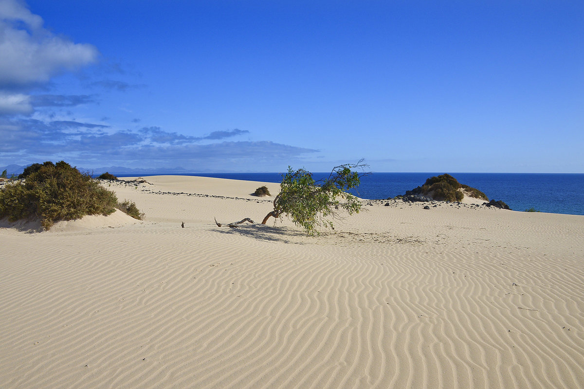 Seeblick von den Dünen südlich von Corralejo auf der Insel Fuerteventura. Aufnahme: 18. Oktober 2017.