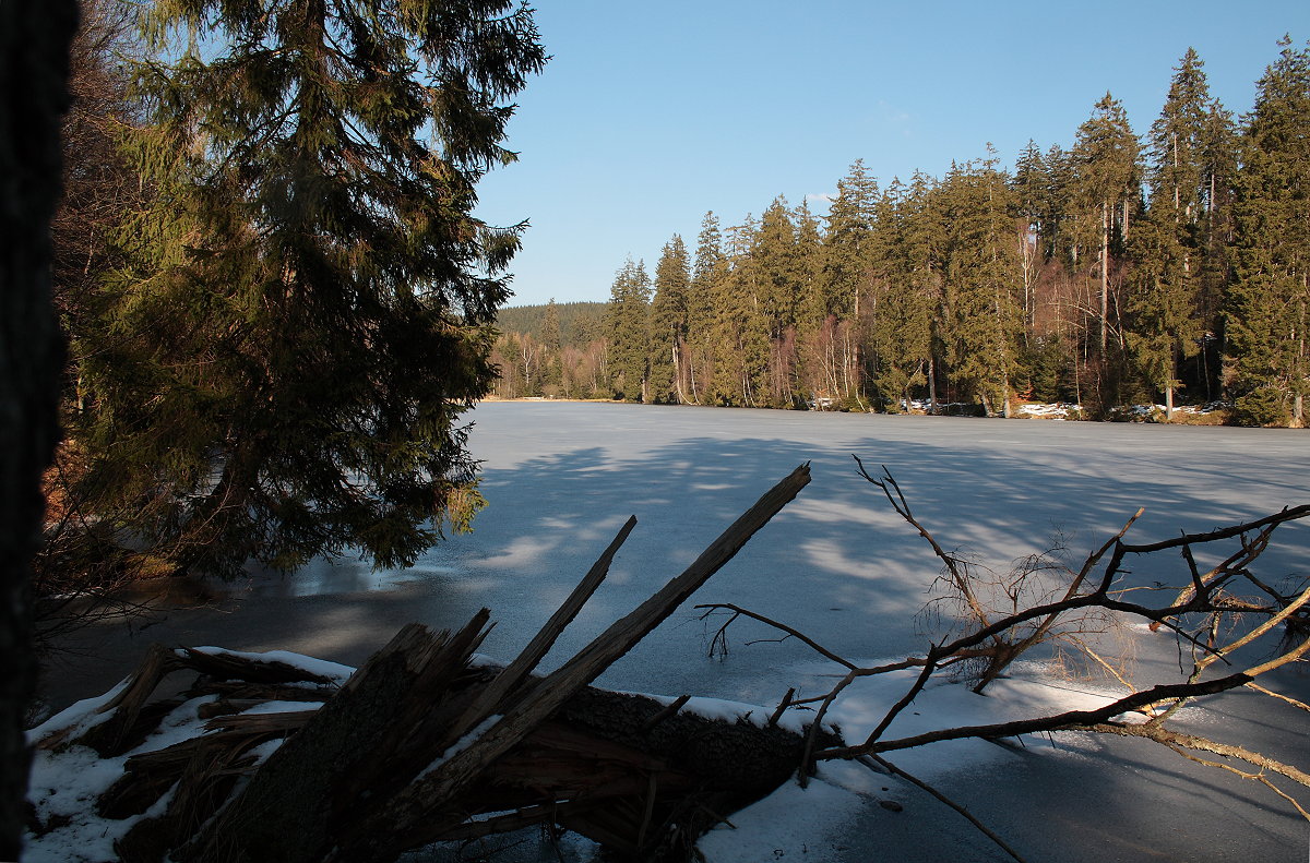 Silberteich mit vereister Wasserfläche im Nationalpark Harz; Blick am Nachmittag des 09.03.2016 vom Westufer...