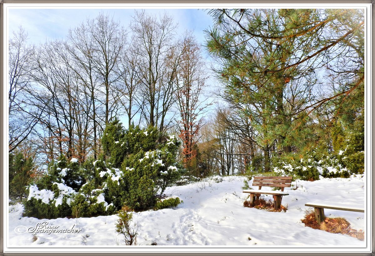 Sitzbänke am Suhorn, Haverbecker Heide bei Niederhaverbeck Naturschutzgebiet Lüneburger Heide, Januar 2017.