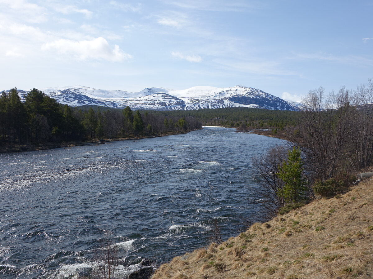 Sjoa Fluss an der Straße 51 Sjodalsvegen, Innlandet (25.05.2023)