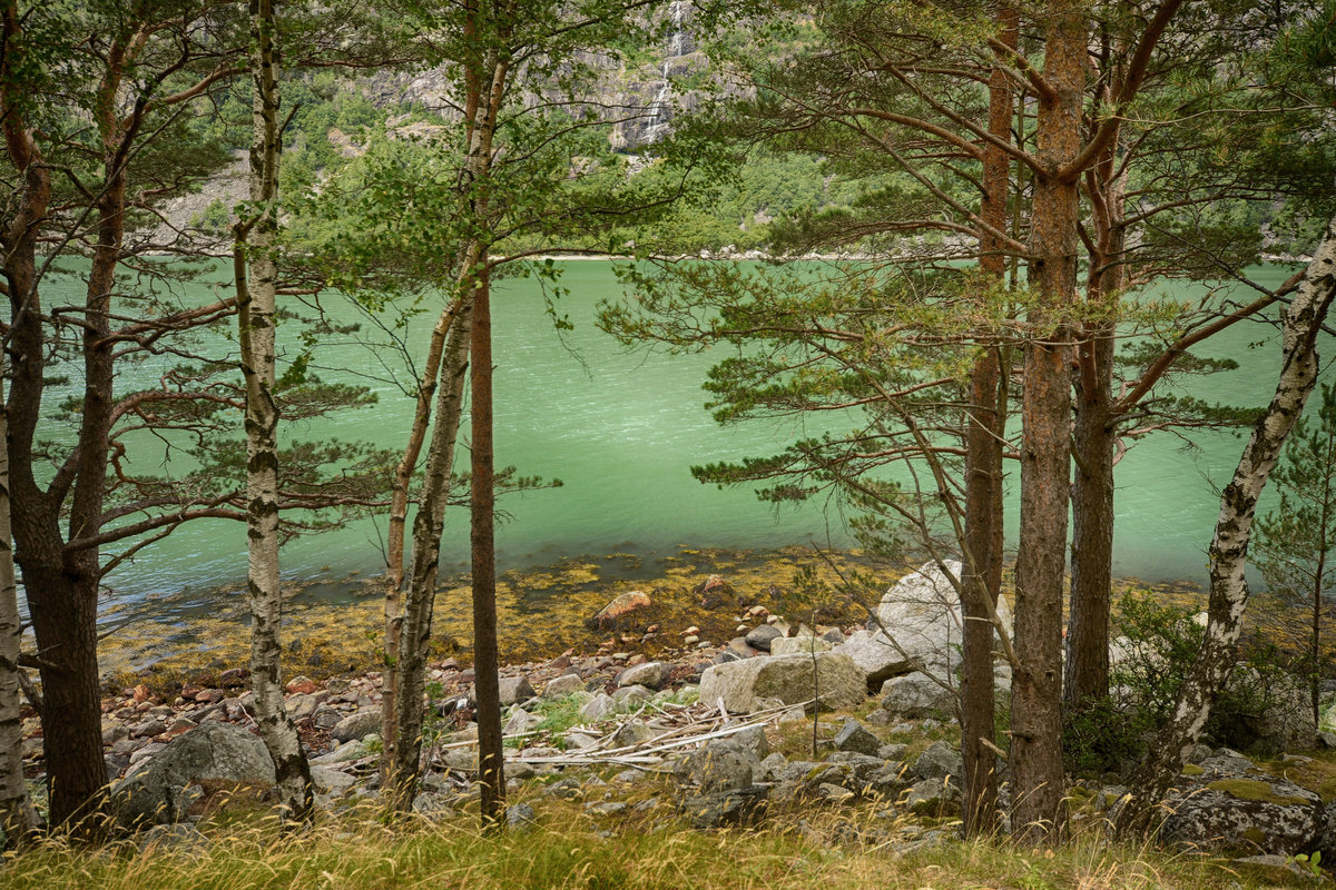 Smaragdgrünes Wasser im Eidfjorden im norwegischen Hardanger.Aufnahme: 9. Juli 2018.