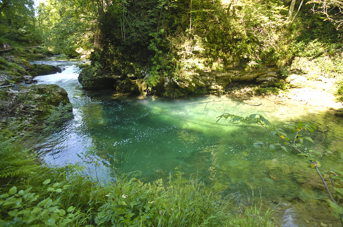 Smaragdgrünes Wasser in der Vintgar-Klamm bei Blöd. Aufnahme: 3. August 2016.