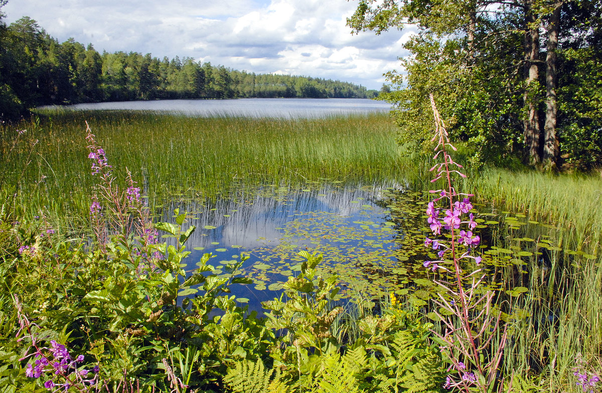 Sörsjön nördlich von Norrköping. Im Wald am See kann man den Kletterpark Sörsjöns Äventyrpark besuchen. Aufnahme: 23. Juli 2017.