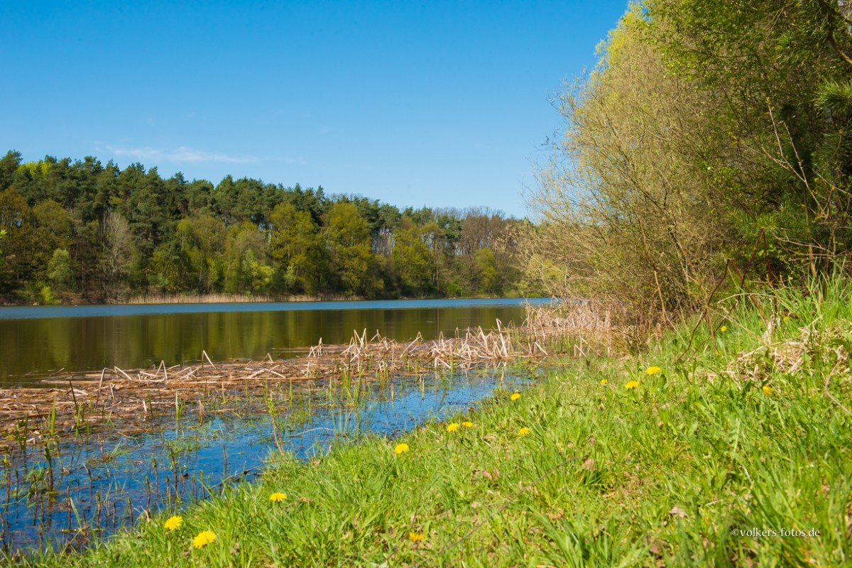 Sommer 2013 in MOL bei Bad Freienwalde