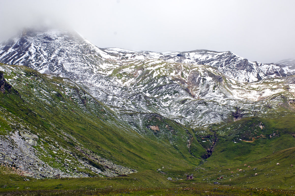 Sommerschnee am Hochtor im Nationalpark Hohe Tauern. Aufnahme: 7. August 2016.