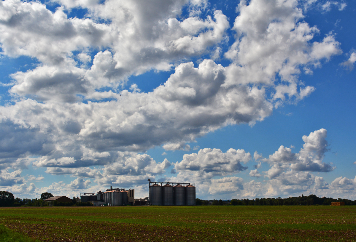 Sommerwolken bei Zülpich - 03.09.2015